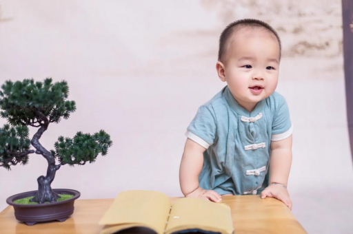 淮滨可爱的企鹅宝宝